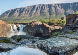 Taimyr lakes are home to healthiest fish