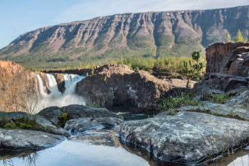 Taimyr lakes are home to healthiest fish