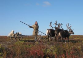 Hunting and fishing to become more accessible