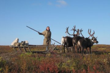 Hunting and fishing to become more accessible