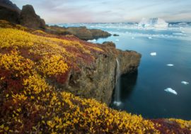 Scientists to study Arctic geology