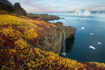 Scientists to study Arctic geology