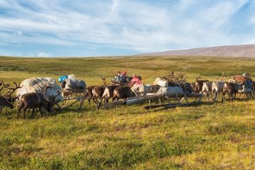 Scientists study COVID-19 impact on North inhabitants