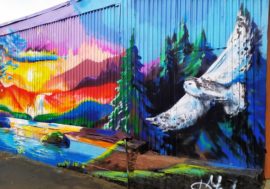 Norilsk woman painted a sawmill