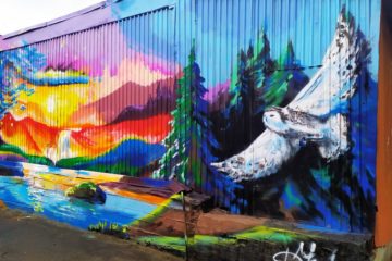 Norilsk woman painted a sawmill