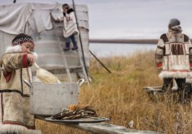 Most ancient northern nation lives in Taimyr