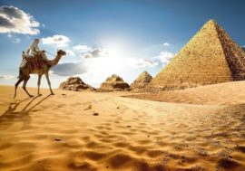 Egypt. Mahmoud Maher