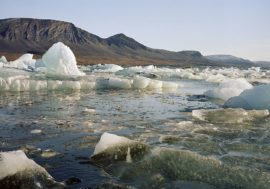 Russian schoolchildren discovered island in Arctic
