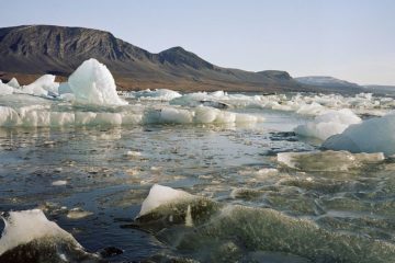 Russian schoolchildren discovered island in Arctic