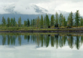 Taimyr weather beats record