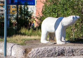 Famous Aika bear’s life and fate