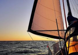 Arctic routes become popular