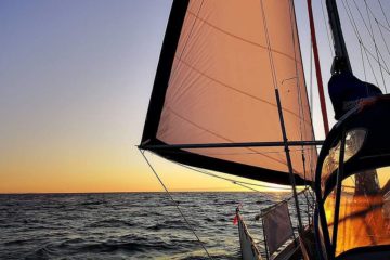 Arctic routes become popular