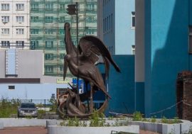 Animals in the city