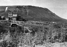 Small concentration plant’s story