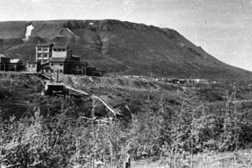 Small concentration plant’s story
