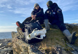 Expedition is going on