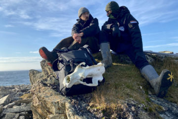 Expedition is going on