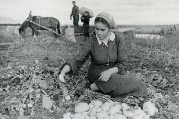 Watermelons and cows in Norilsk