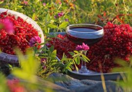 Short Indian summer rules on Taimyr