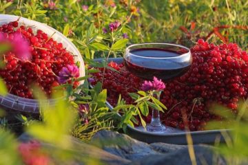 Short Indian summer rules on Taimyr