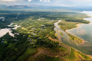 How Siberian rivers affect Arctic climate