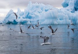 Arctic atmosphere studied
