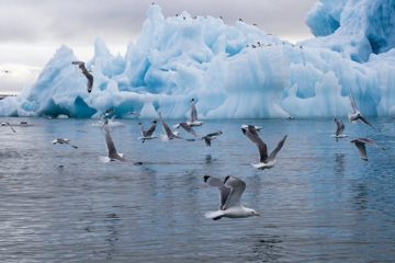 Arctic atmosphere studied