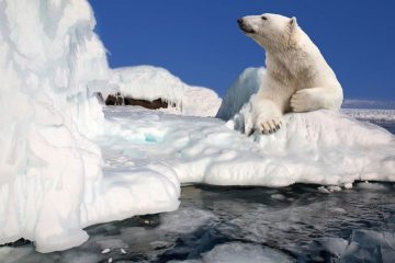White noise of Arctic