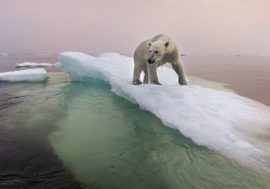 Arctic ice can melt completely