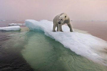 Arctic ice can melt completely
