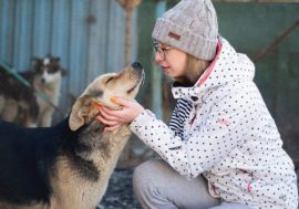 ABC of Kindness to be created in Norilsk