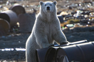 General cleaning planned in Arctic