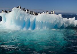 Scientists study relationship between Arctic and Antarctic