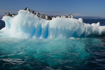 Scientists study relationship between Arctic and Antarctic