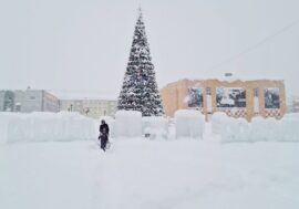 New 15-meter spruce installed in Talnah