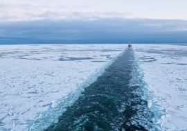 Internet line to appear along Northern Sea Route