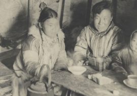 In Norillag era combine patronized farms in tundra