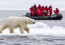 Investors to develop tourism in the Arctic