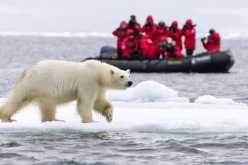 Investors to develop tourism in the Arctic