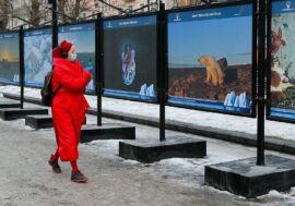 Muscovites can see Arctic Attraction again