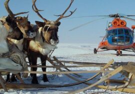 Reindeer herders’ children to meet new year in tundra