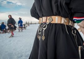 Samoyed belts come back from the past