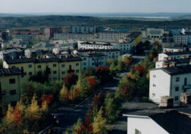 Nornickel supported 11 projects in Murmansk region