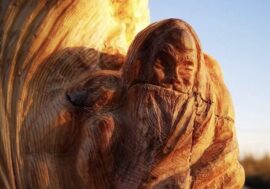 When wood draws itself