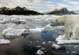 Taimyr named global warming record holder