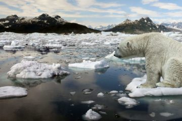 Taimyr named global warming record holder