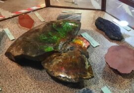 Siberian rivers stones’ mystery