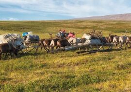 Indigenous peoples of Russian north restore tundra in their own way
