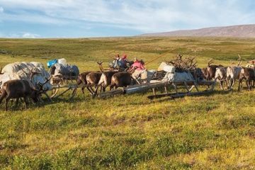 Indigenous peoples of Russian north restore tundra in their own way